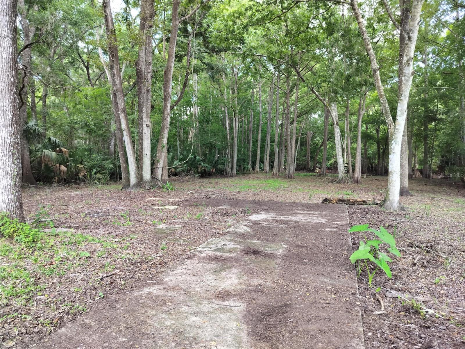 523 S Tuck Pt Property Photo 16