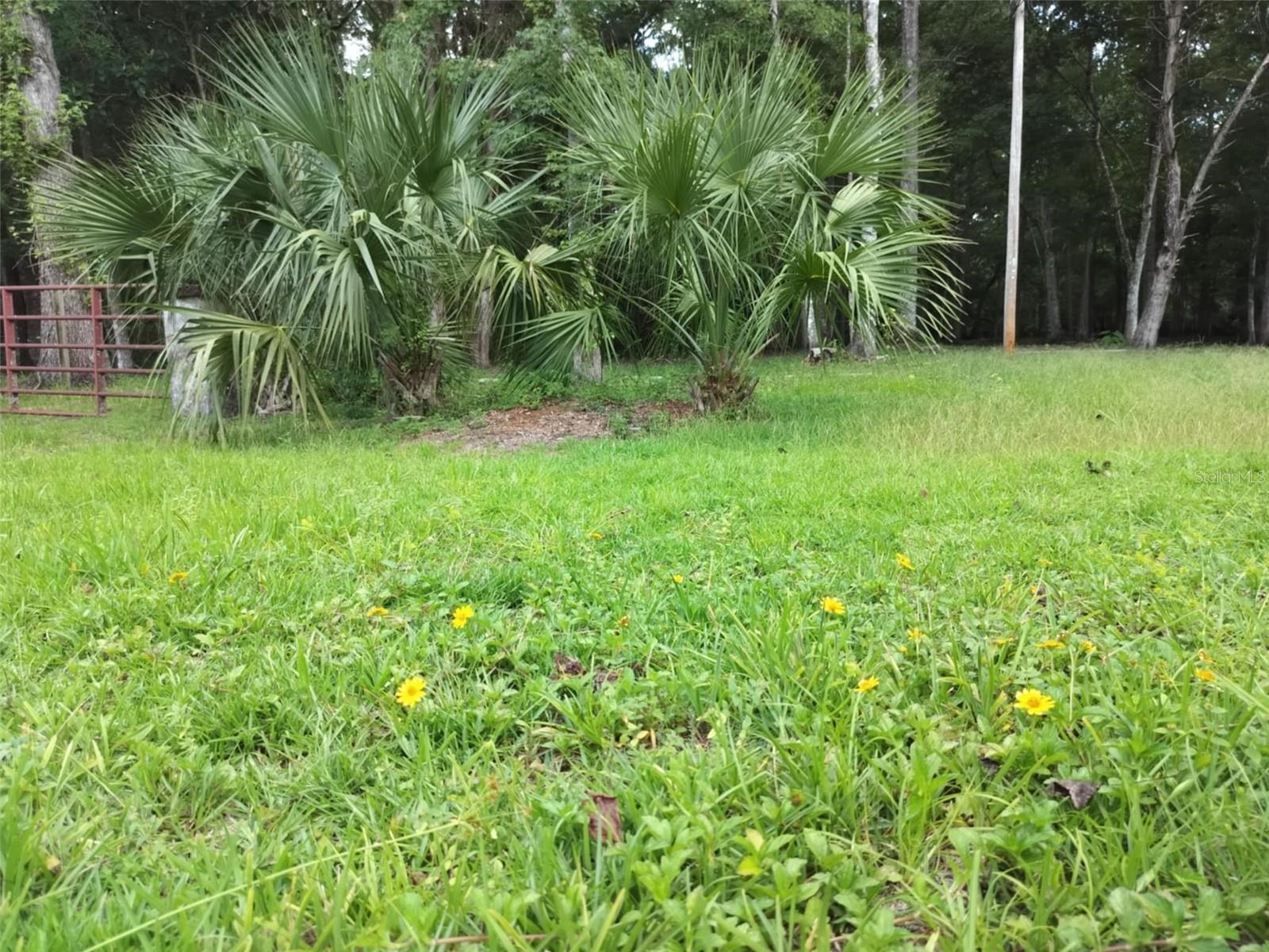523 S Tuck Pt Property Photo 18