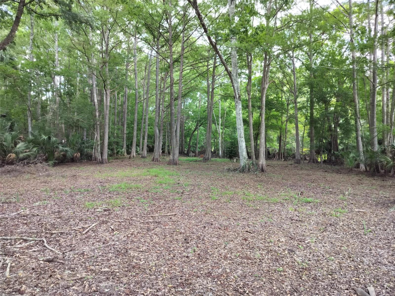 523 S Tuck Pt Property Photo 20