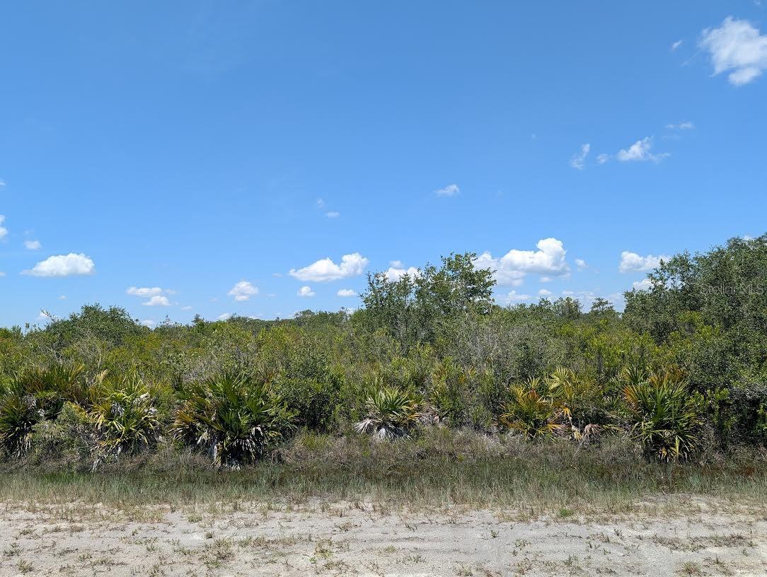 SARASOTA DR Property Photo 1