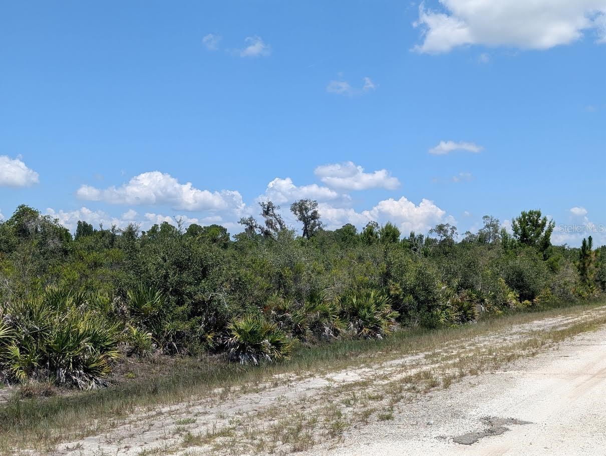 Sarasota Dr Property Photo 2
