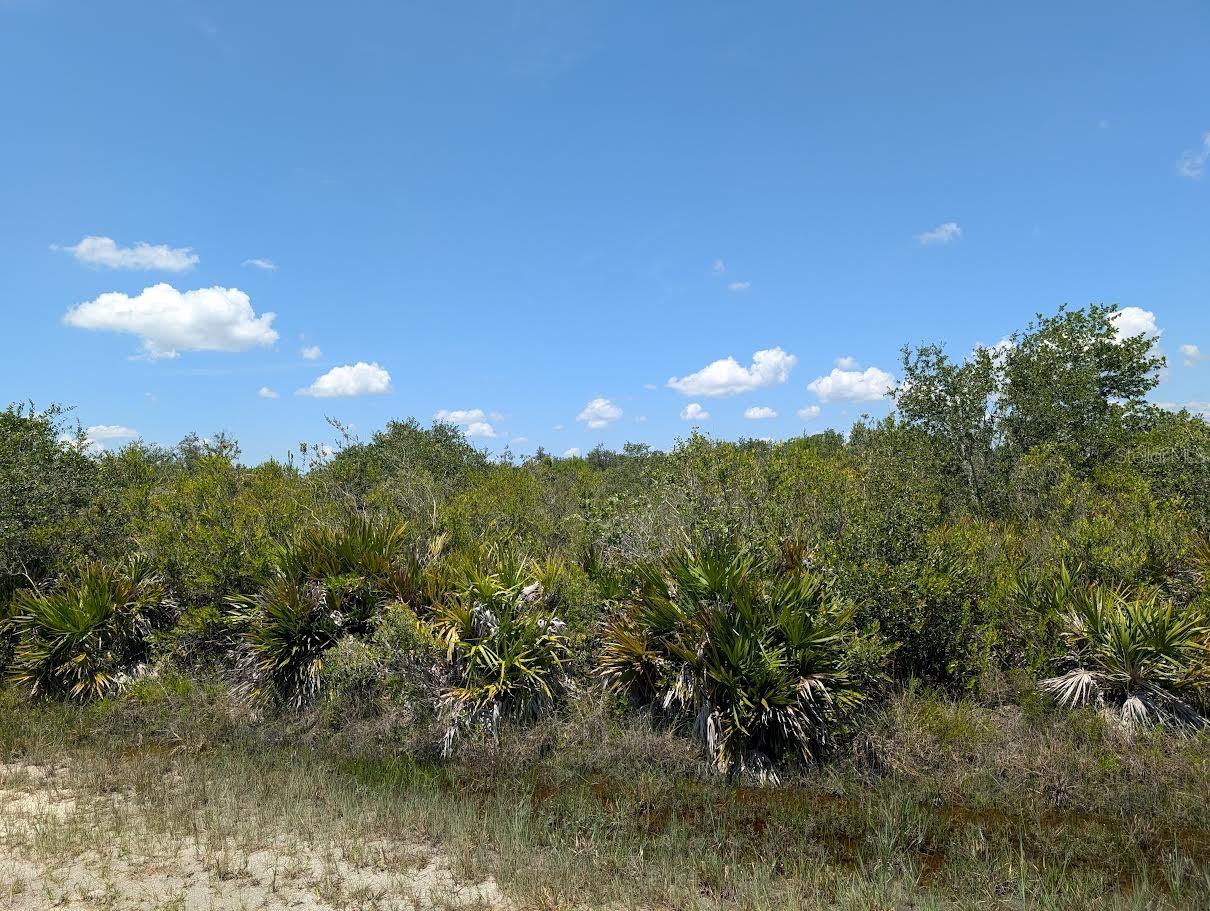 Sarasota Dr Property Photo 3