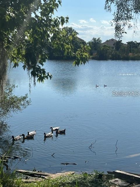 1888 Druliner Rd Property Photo 8