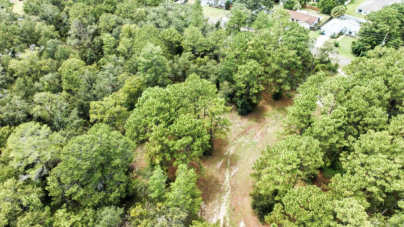Linden Dr Property Photo 18
