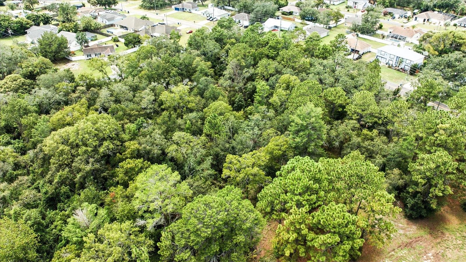 Linden Dr Property Photo 19