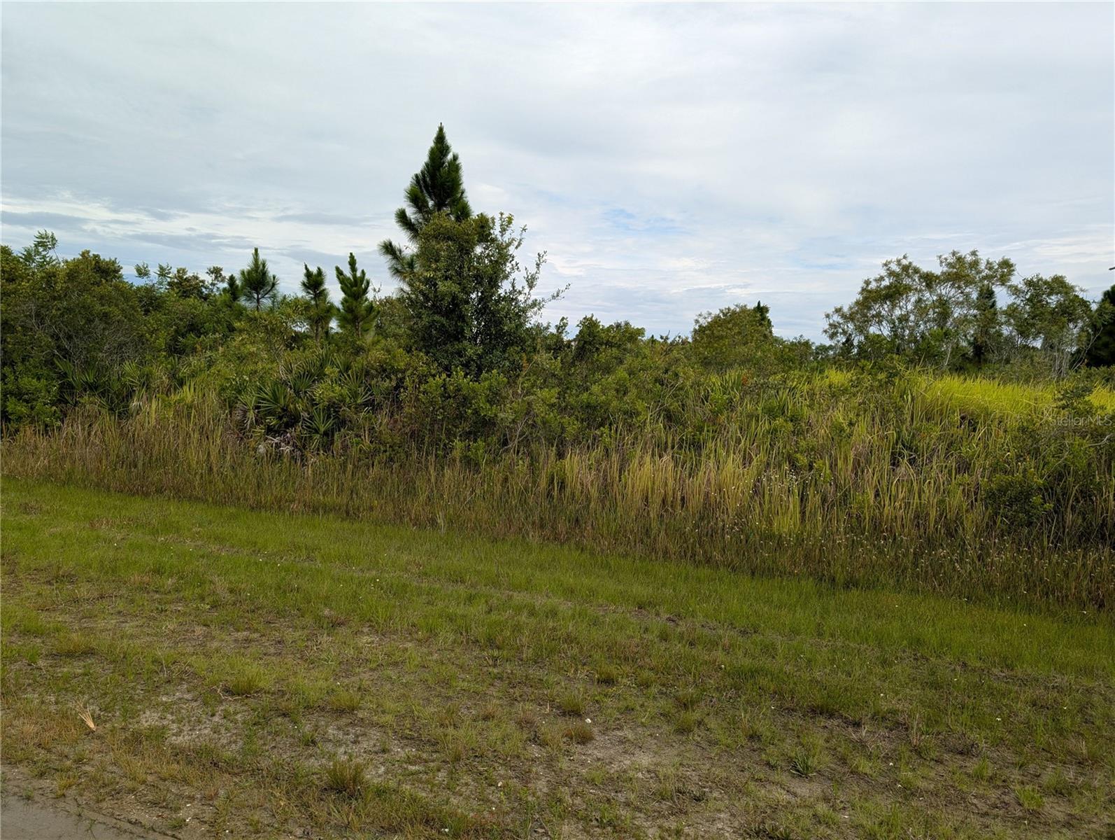 511 CALENDULA DR Property Photo 1