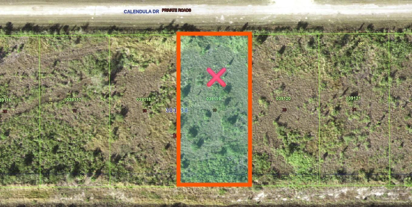 511 Calendula Dr Property Photo 3