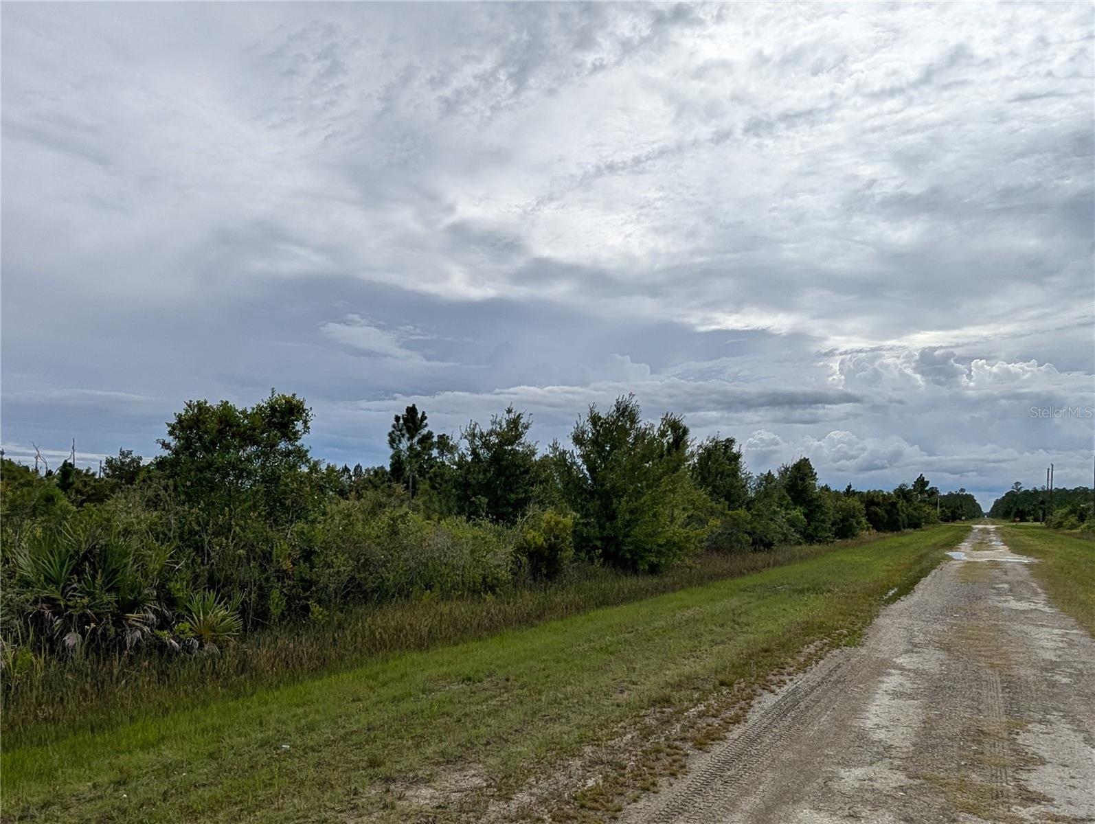511 Calendula Dr Property Photo 4
