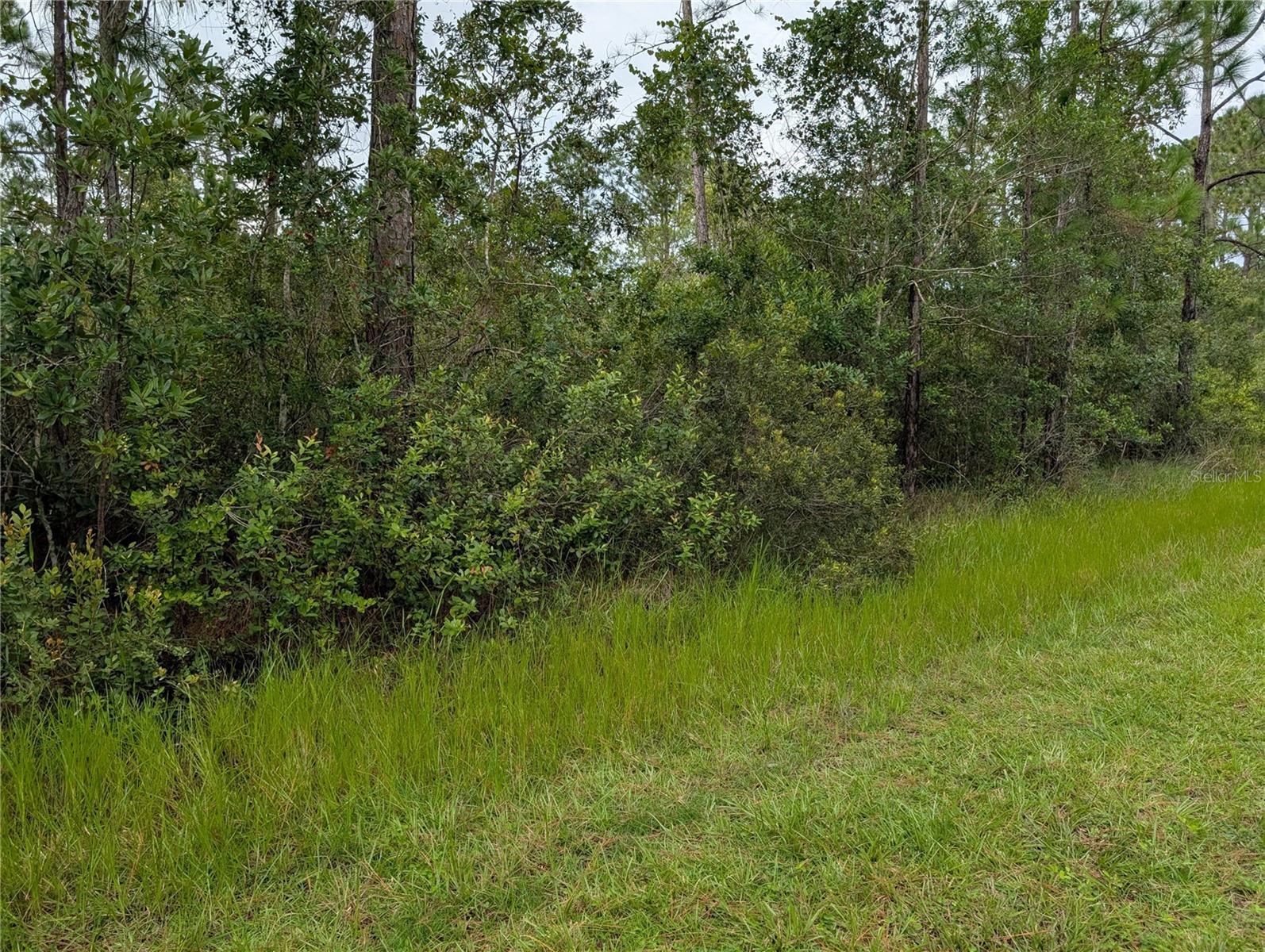 511 Calendula Dr Property Photo 8