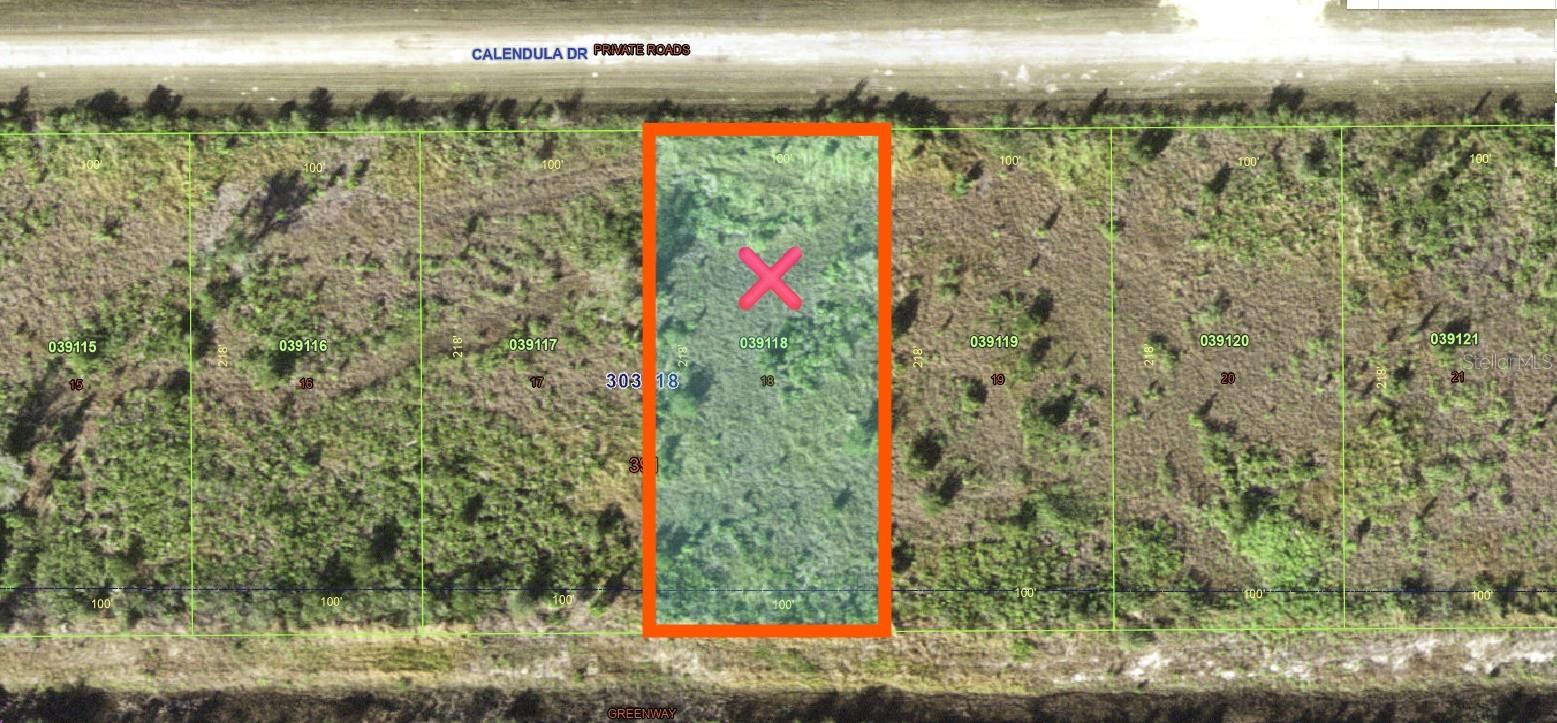 513 Calendula Dr Property Photo 7