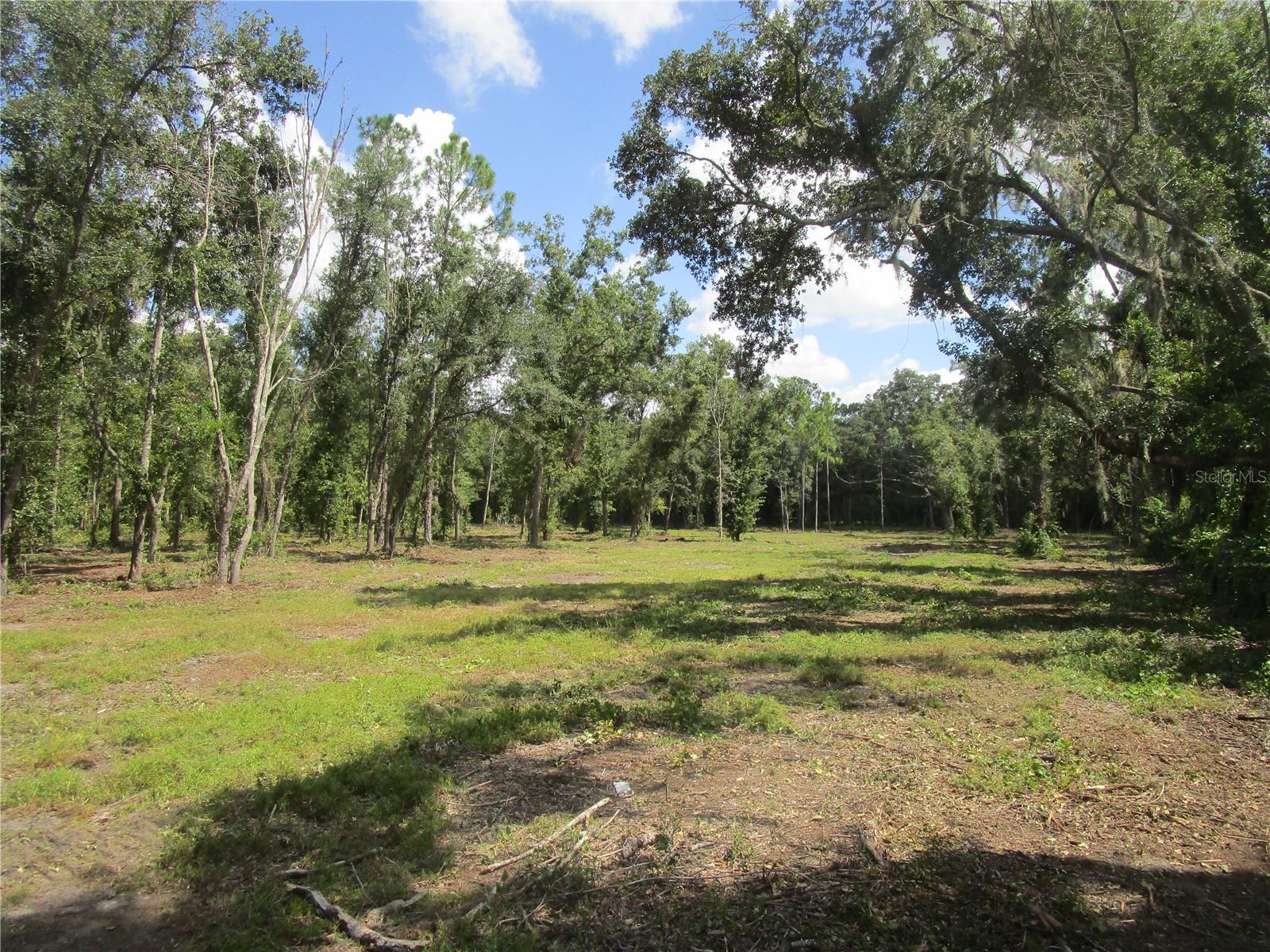 00 Castlewood Rd Property Photo 3