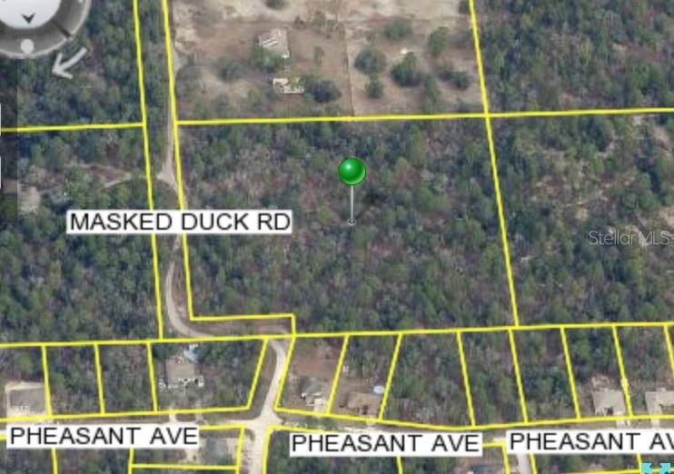 MASKED DUCK RD