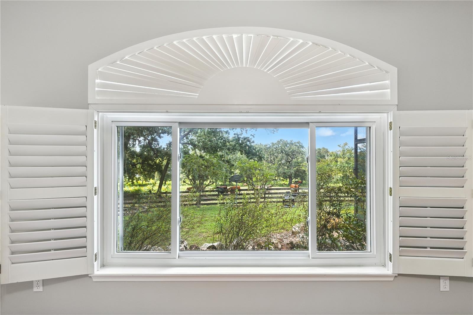 36641 Blanton Rd Property Photo 13
