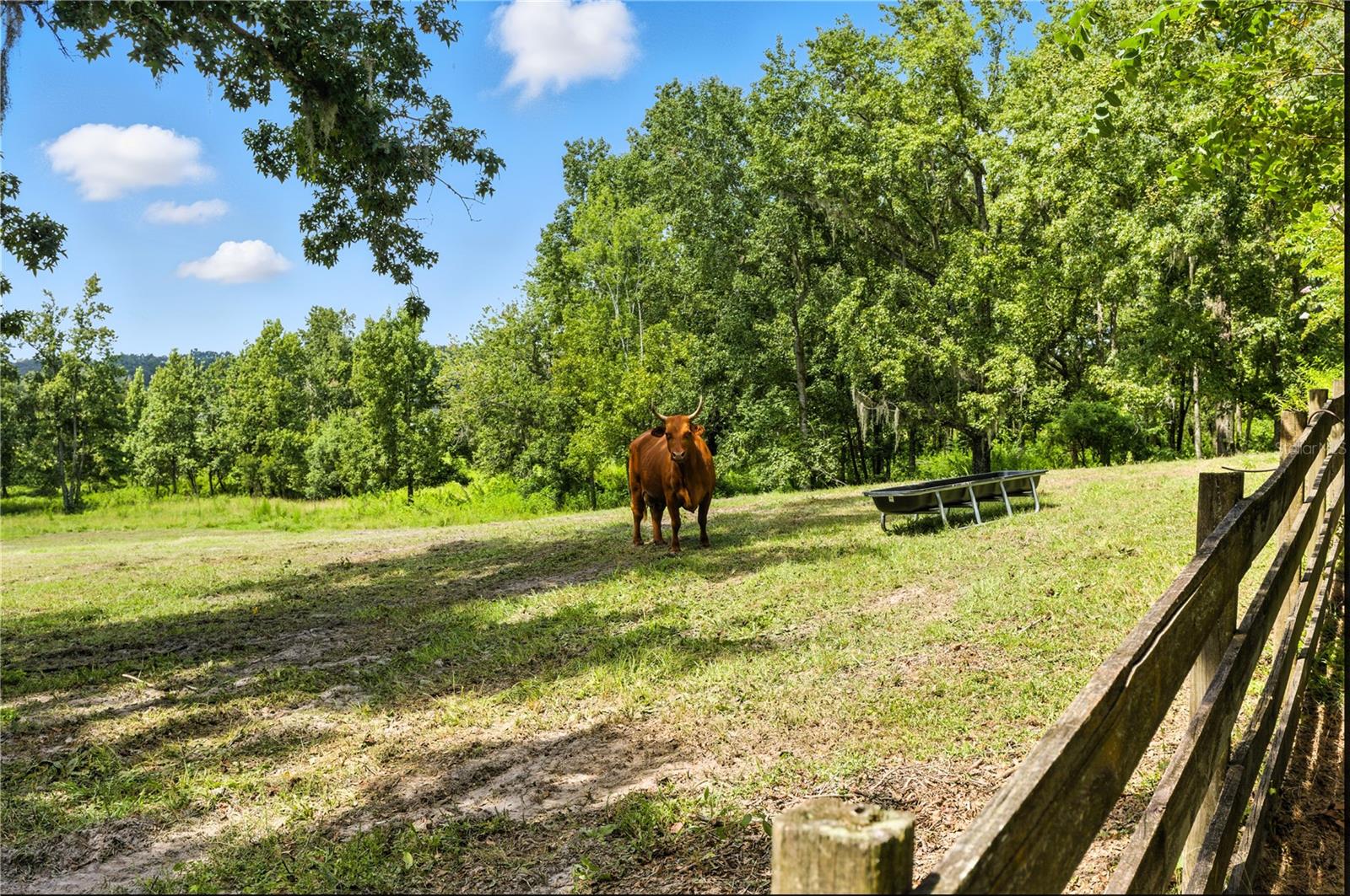 36641 Blanton Rd Property Photo 47
