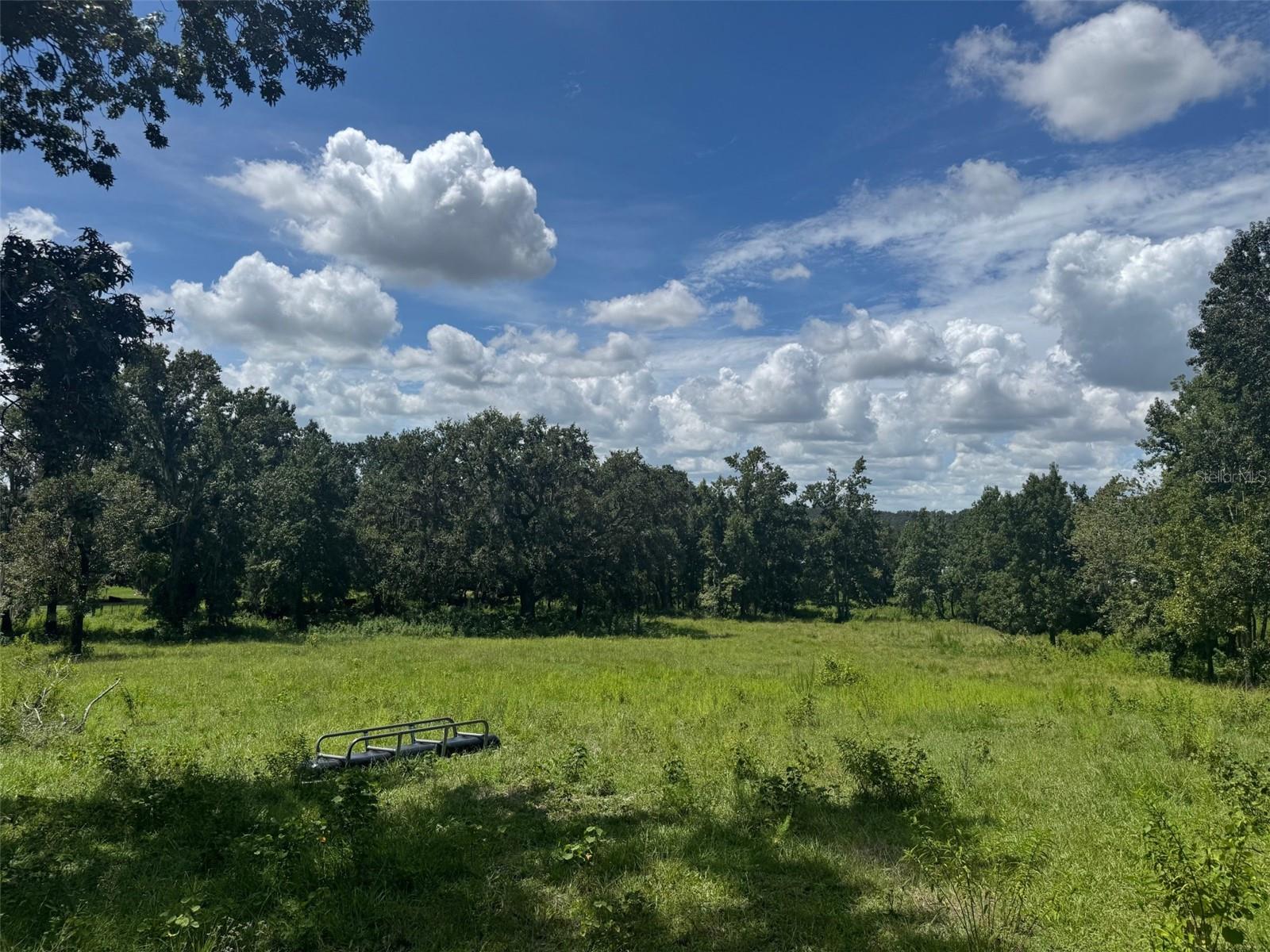 36641 Blanton Rd Property Photo 48