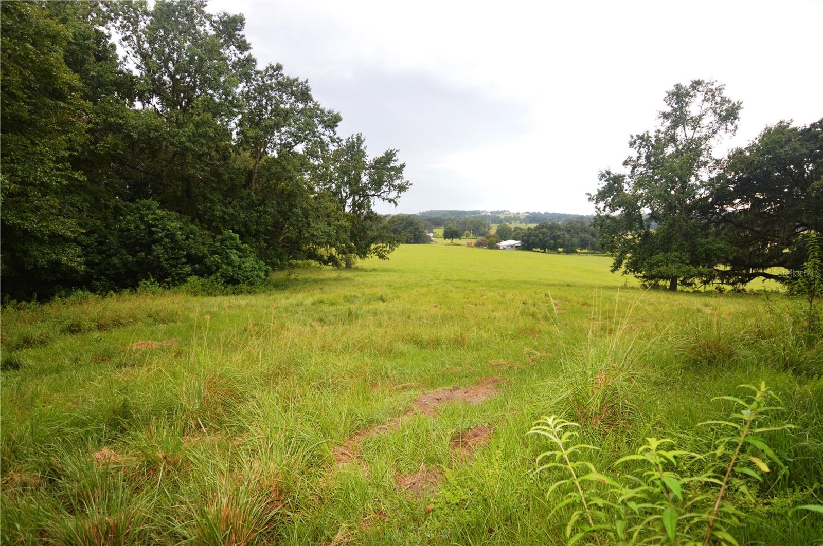 36641 Blanton Rd Property Photo 57