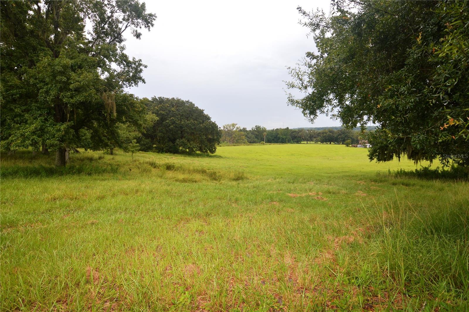 36641 Blanton Rd Property Photo 58