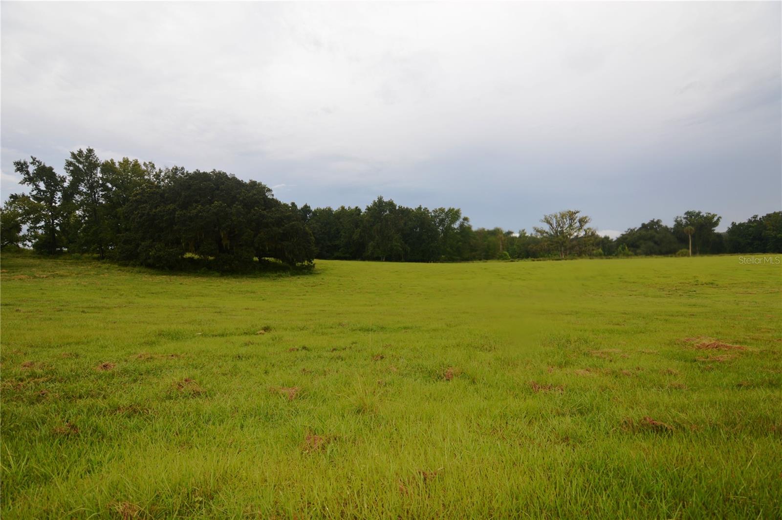 36641 Blanton Rd Property Photo 59
