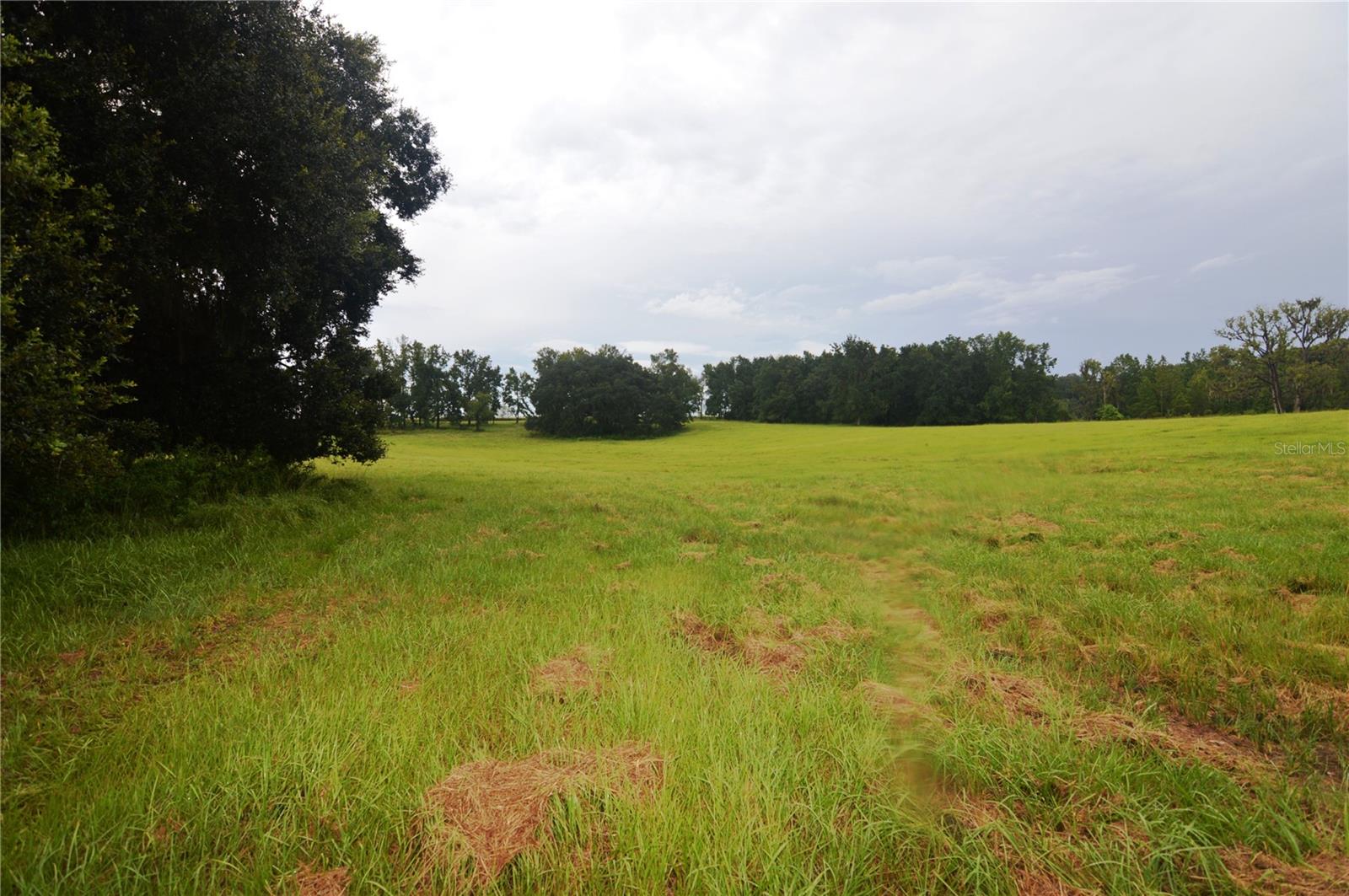 36641 Blanton Rd Property Photo 60