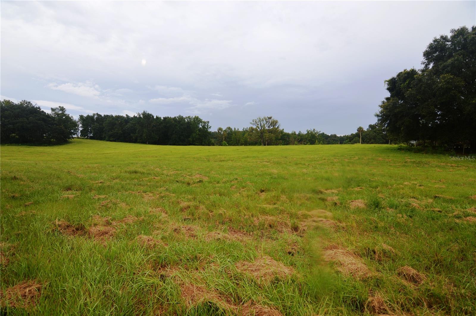 36641 Blanton Rd Property Photo 61