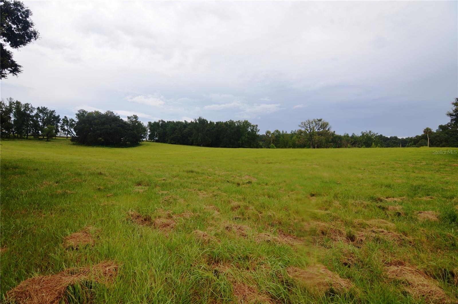36641 Blanton Rd Property Photo 62
