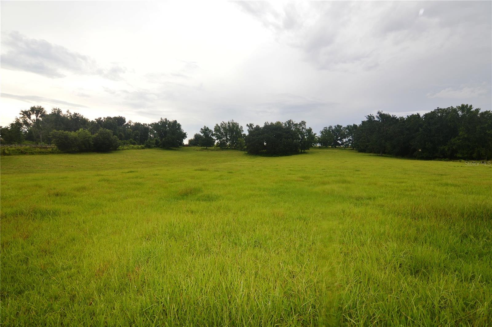 36641 Blanton Rd Property Photo 63