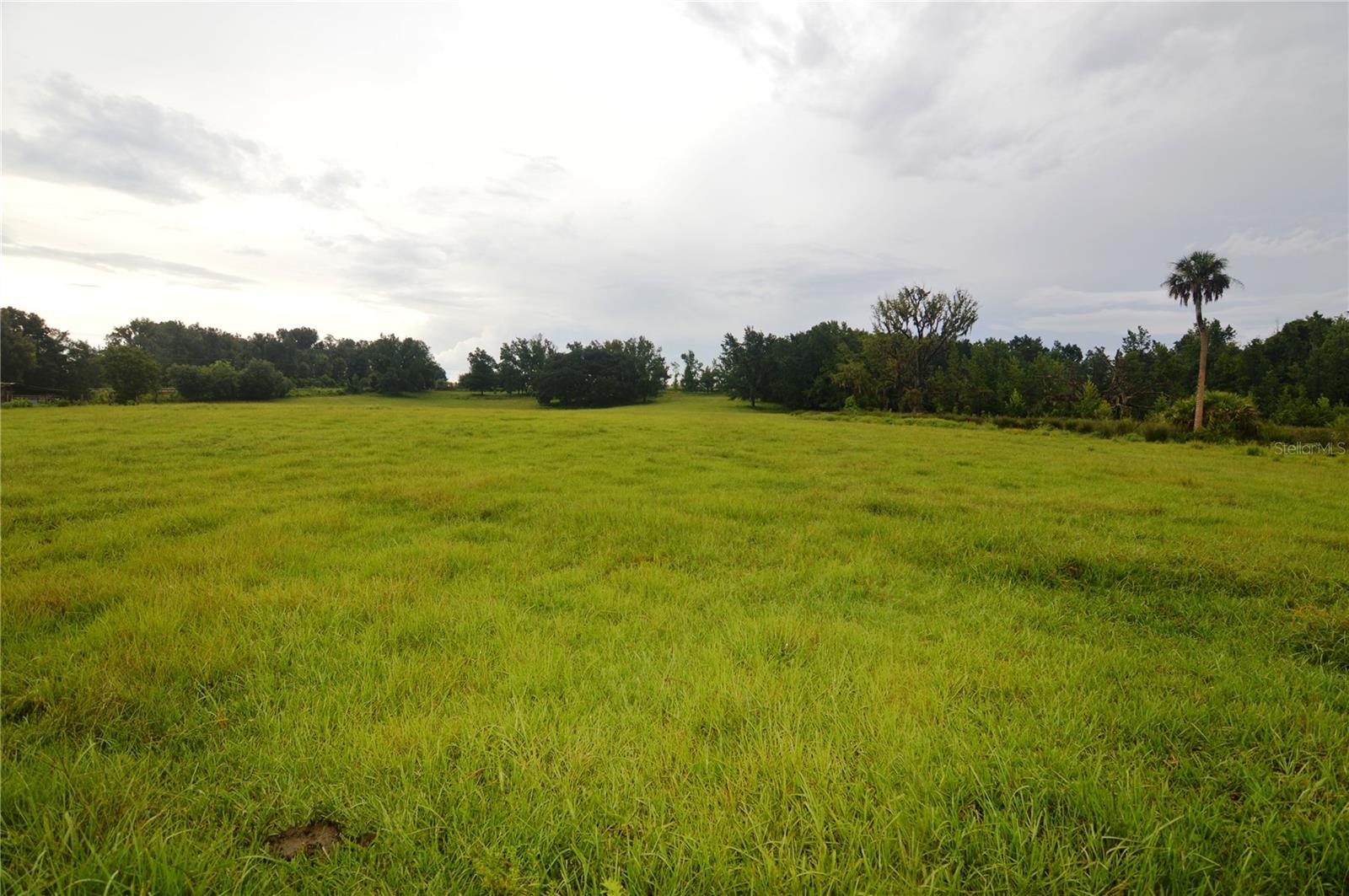 36641 Blanton Rd Property Photo 64