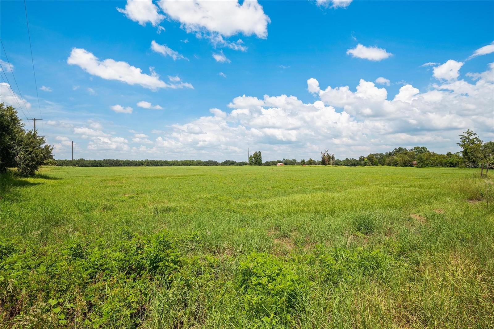 12410 Thonotosassa Rd Property Photo 13