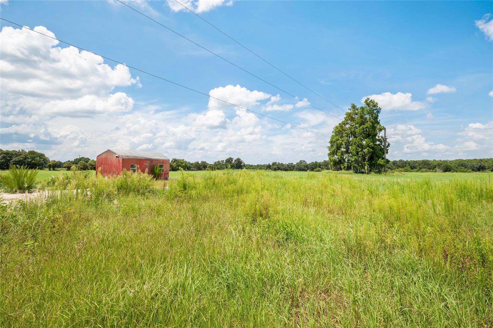 12410 Thonotosassa Rd Property Photo 16