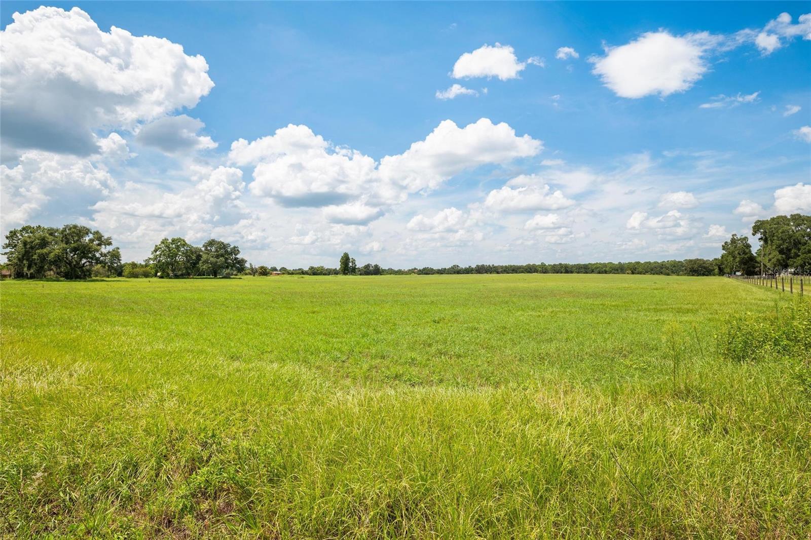 12410 Thonotosassa Rd Property Photo 17