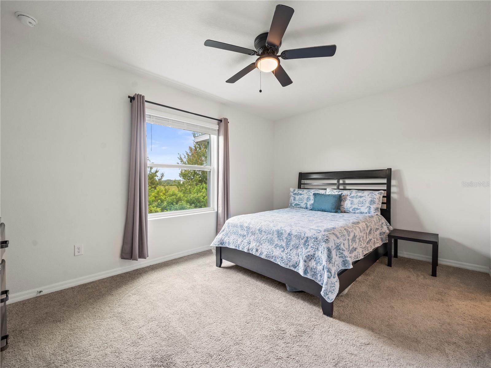 2886 Suncoast Plains Dr Property Photo 21