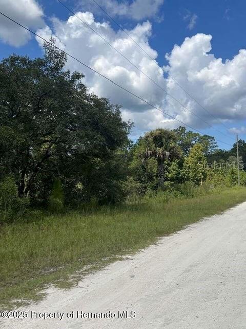 0 0 Yellow Frog Ave Property Photo 2