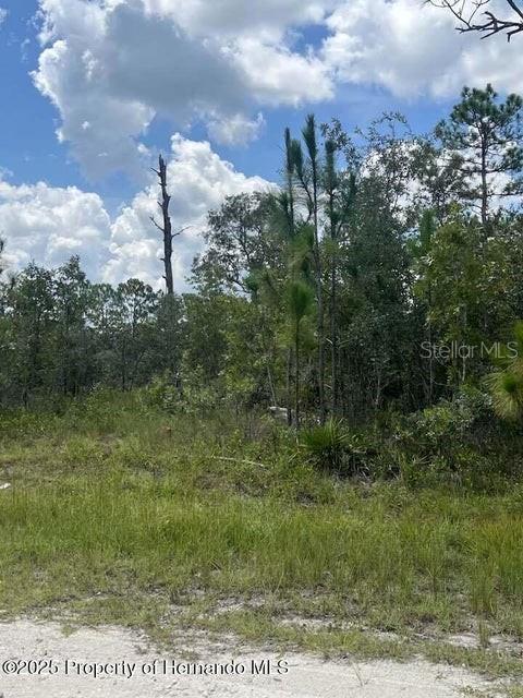 0 0 Yellow Frog Ave Property Photo 3