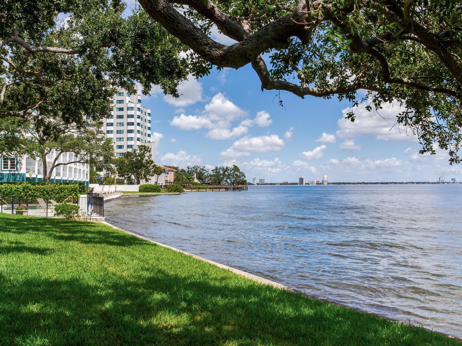 5010 Bayshore Blvd #7 Property Photo 38