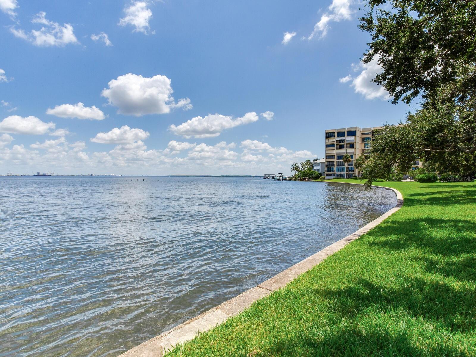 5010 Bayshore Blvd #7 Property Photo 39