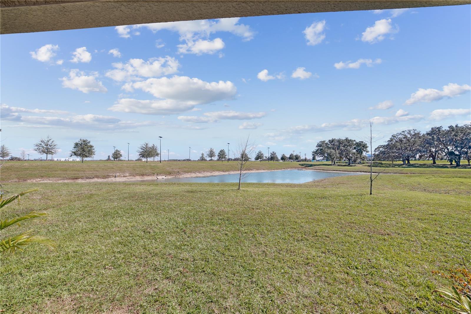 10665 Penny Gale Loop Property Photo 31