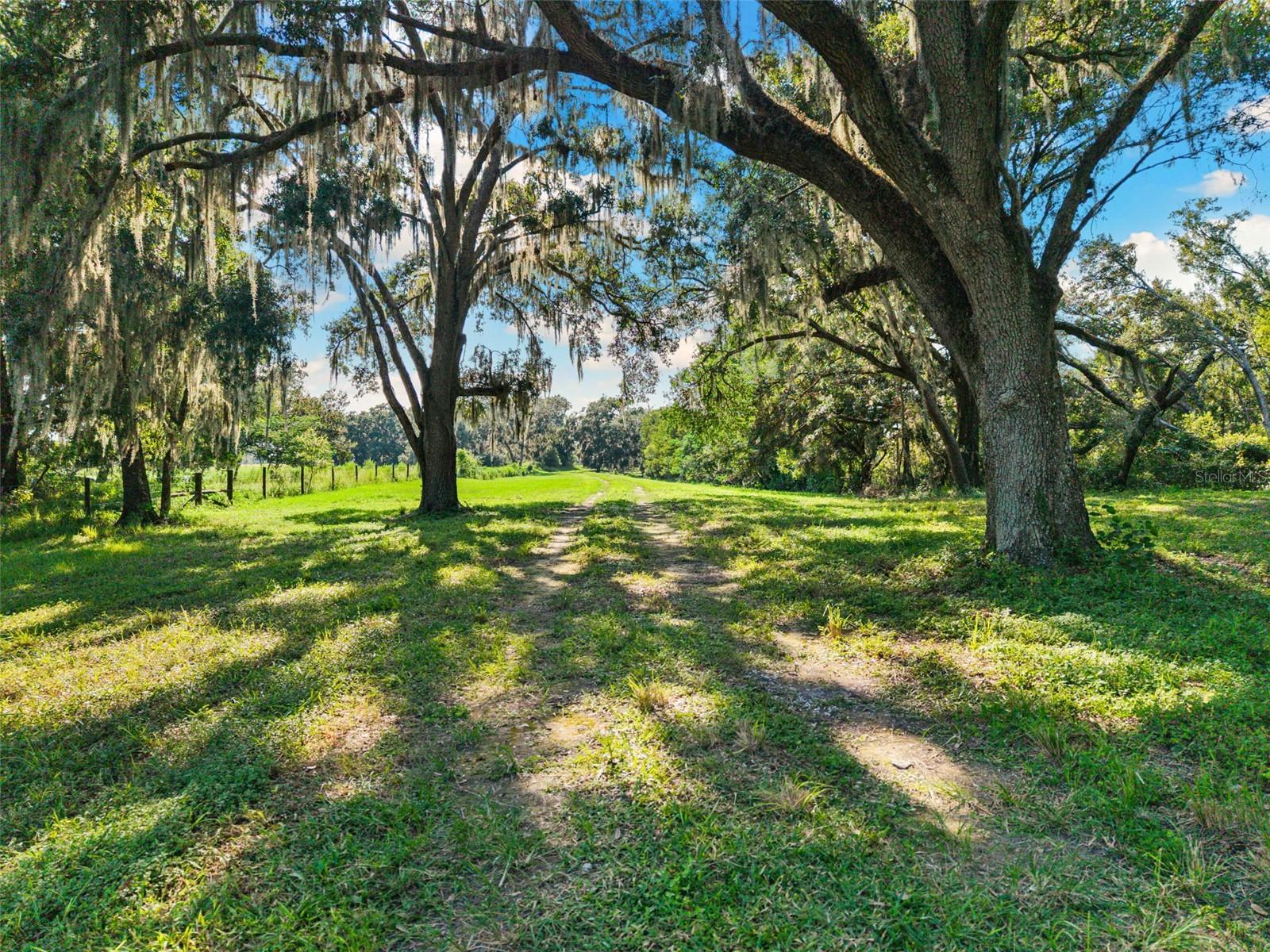 14765 Us Highway 41 Property Photo 2