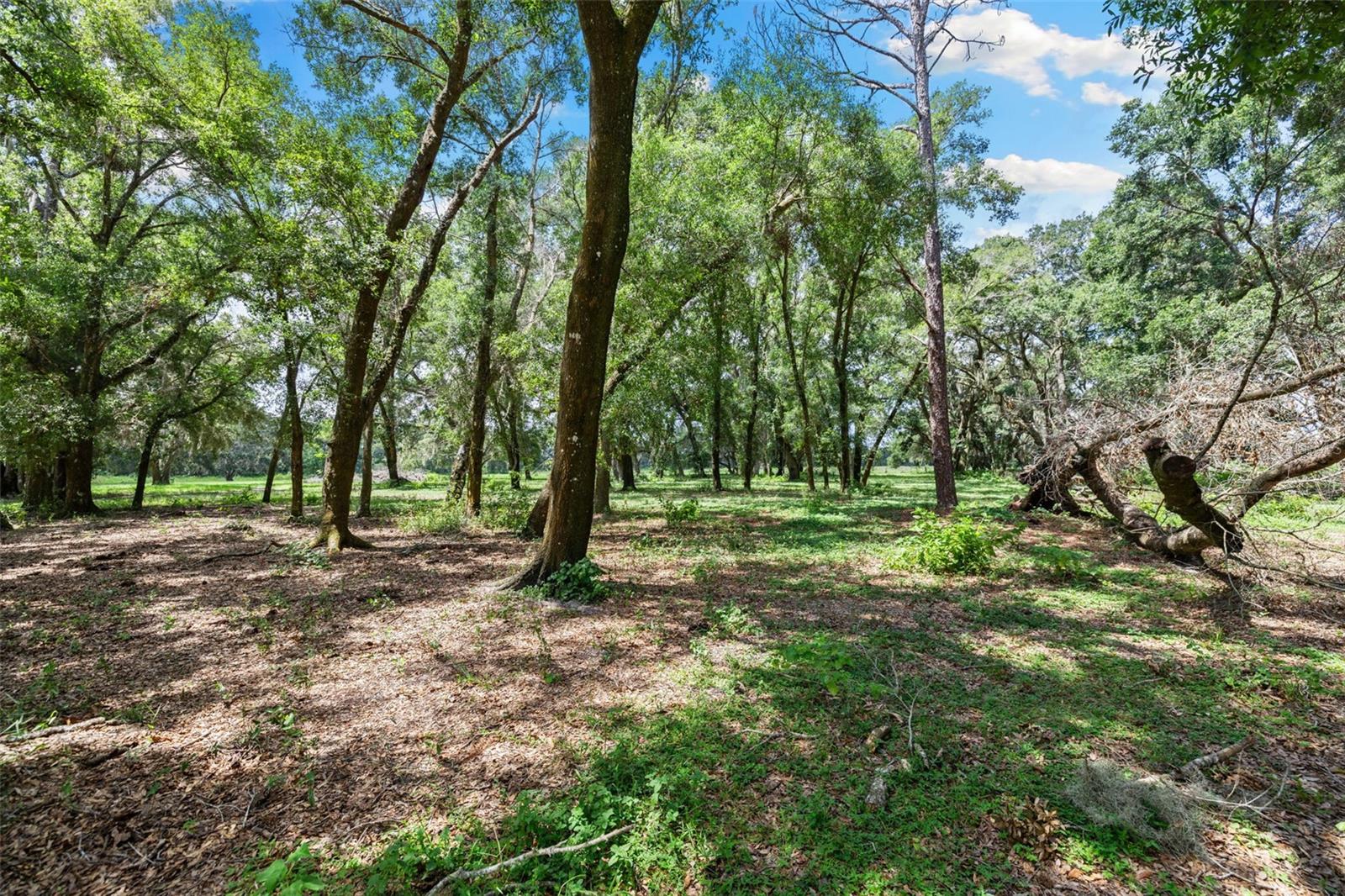 14765 Us Highway 41 Property Photo 30