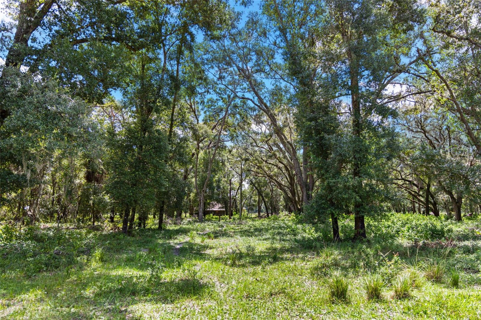 14765 Us Highway 41 Property Photo 32