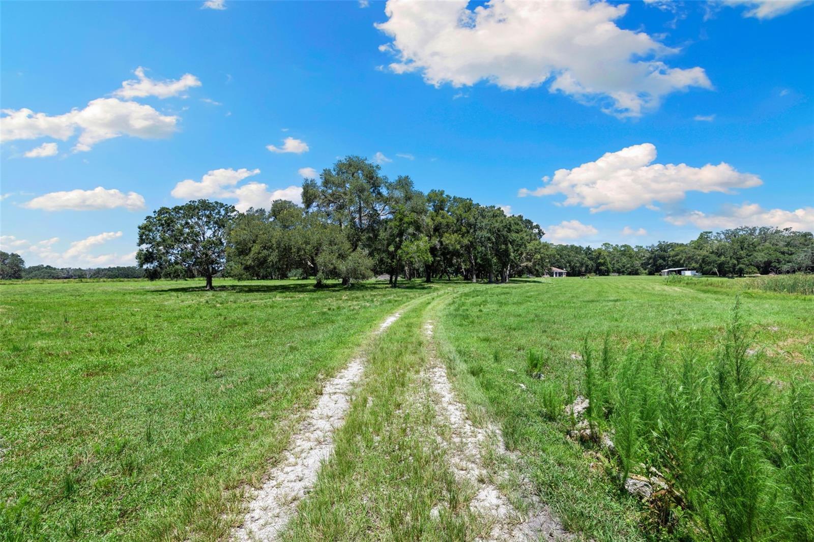 14765 Us Highway 41 Property Photo 49