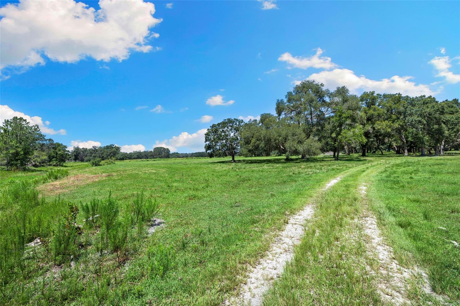 14765 Us Highway 41 Property Photo 51