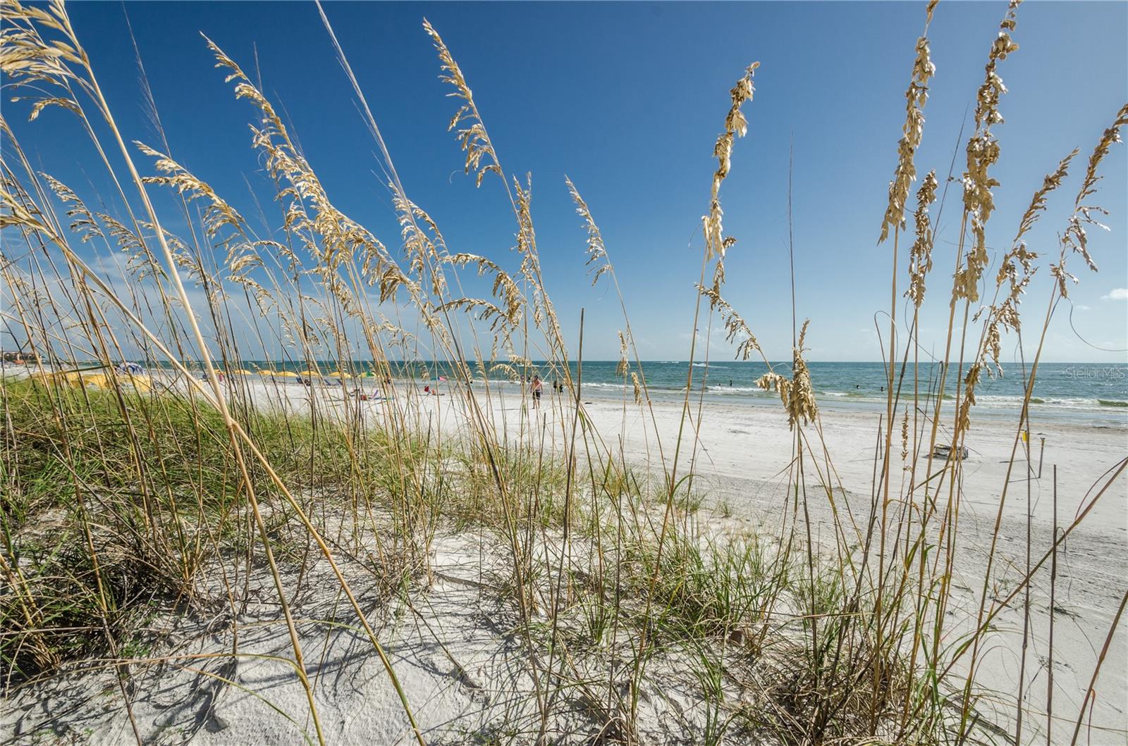 16200 Gulf Blvd Property Photo 8