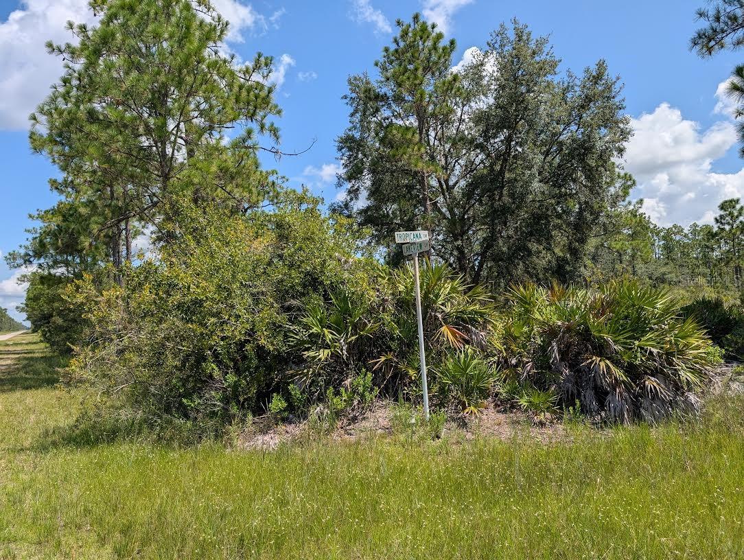 1113 Tropicana Dr Property Photo 1