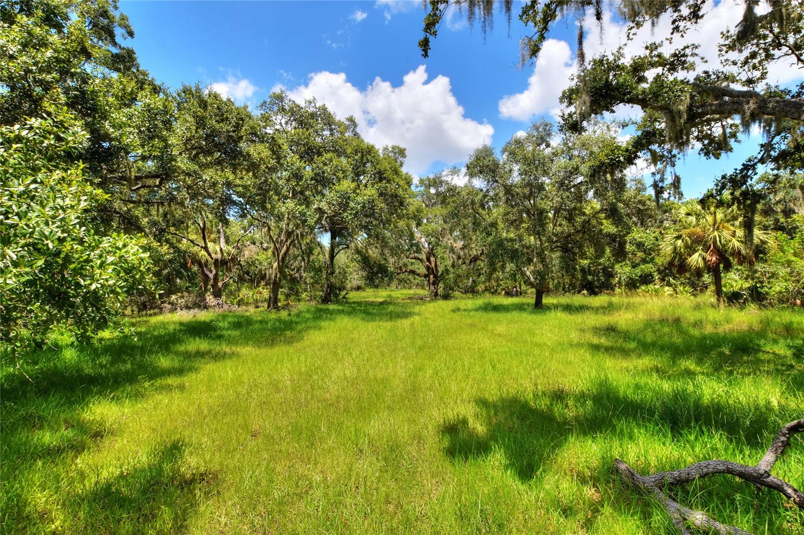 6838 Mary Lou Dr Property Photo 17