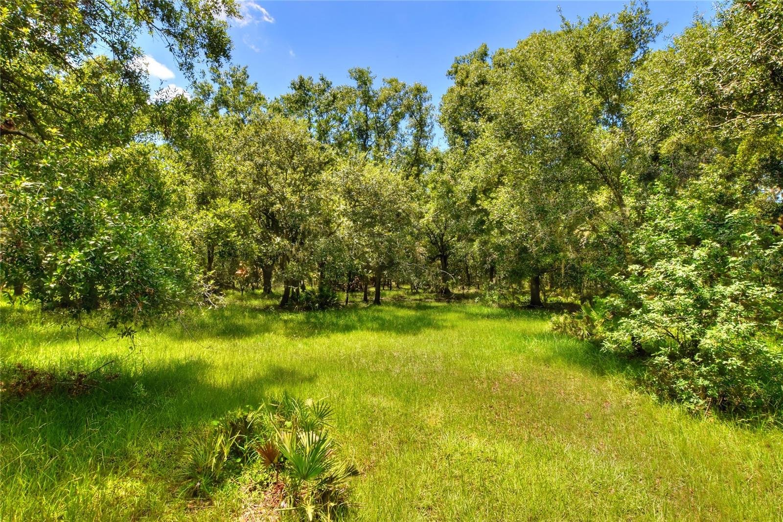 6838 Mary Lou Dr Property Photo 18