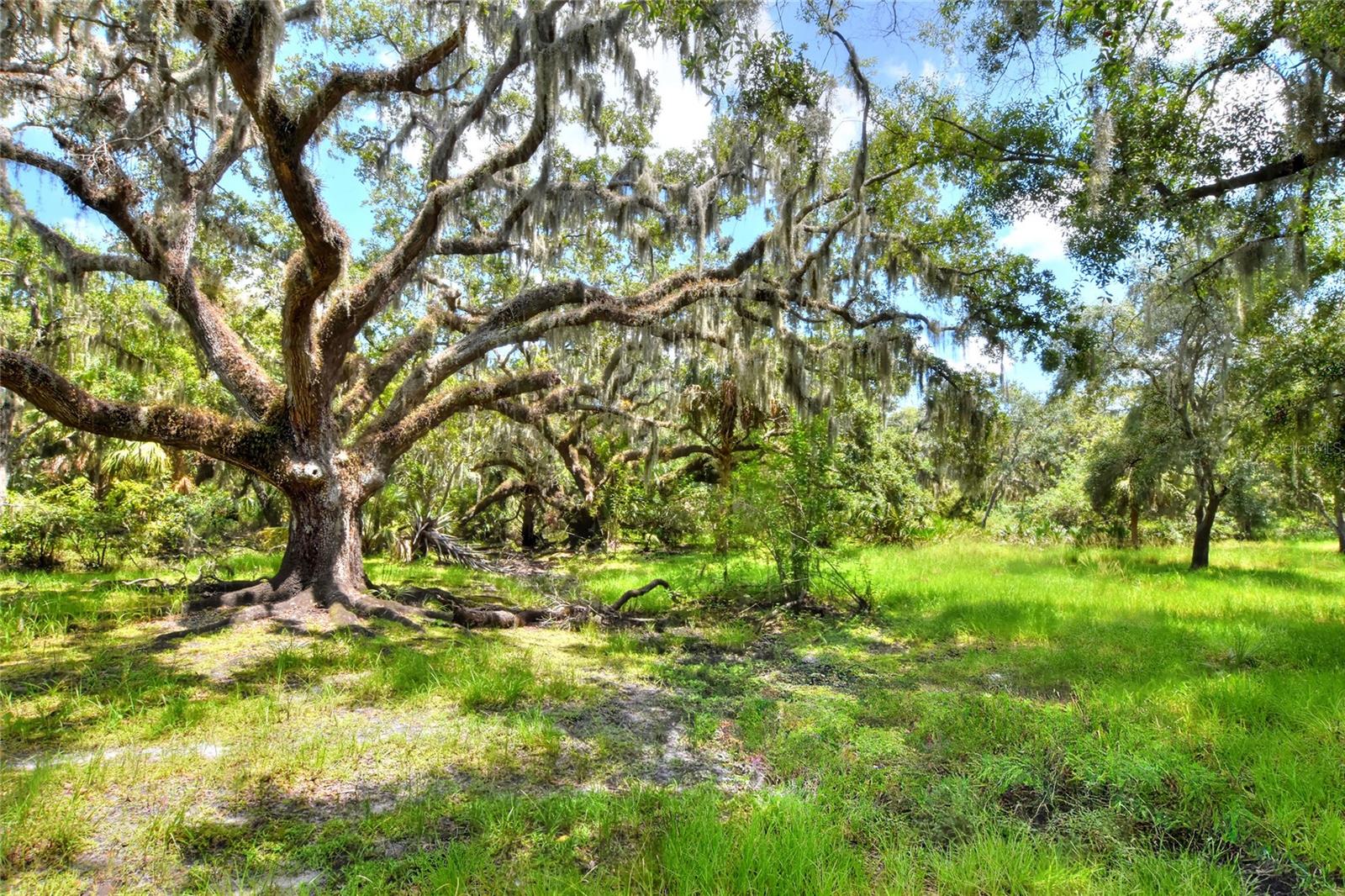 6838 Mary Lou Dr Property Photo 23