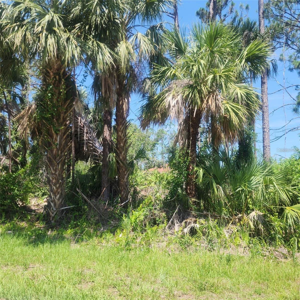 ALIBI TER Property Photo 1