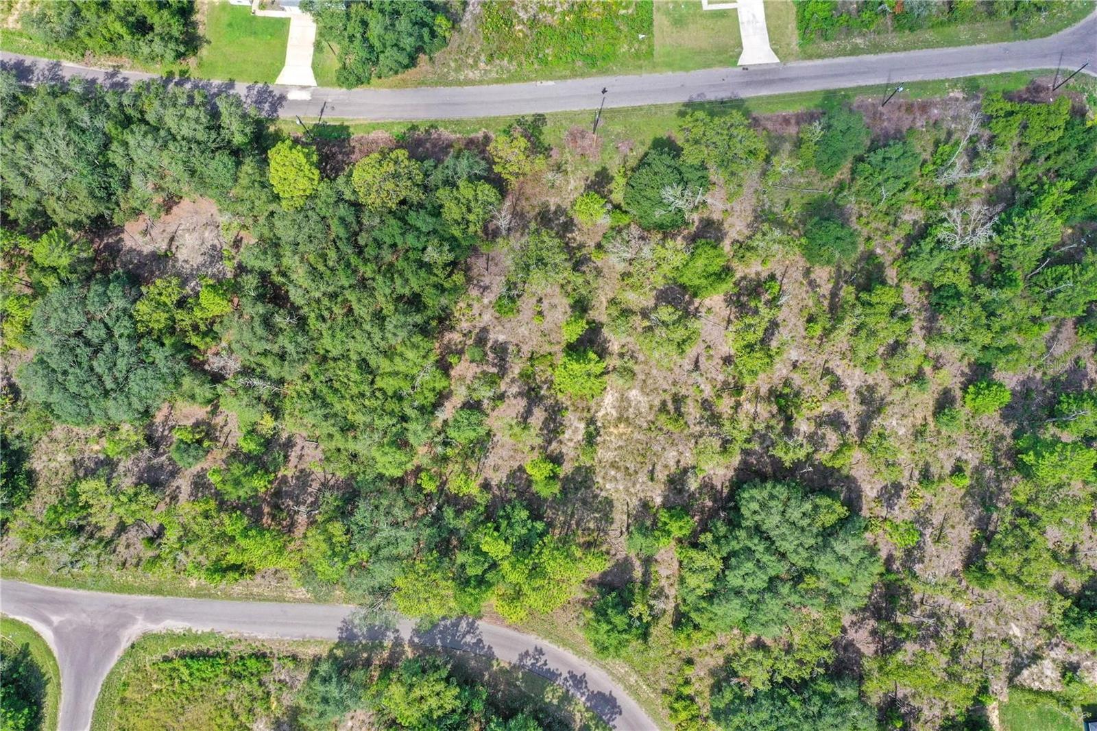 0024 Guava Pass Dr Property Photo 3
