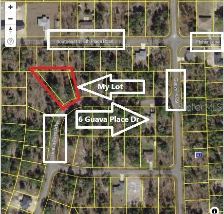 0024 Guava Pass Dr Property Photo 4