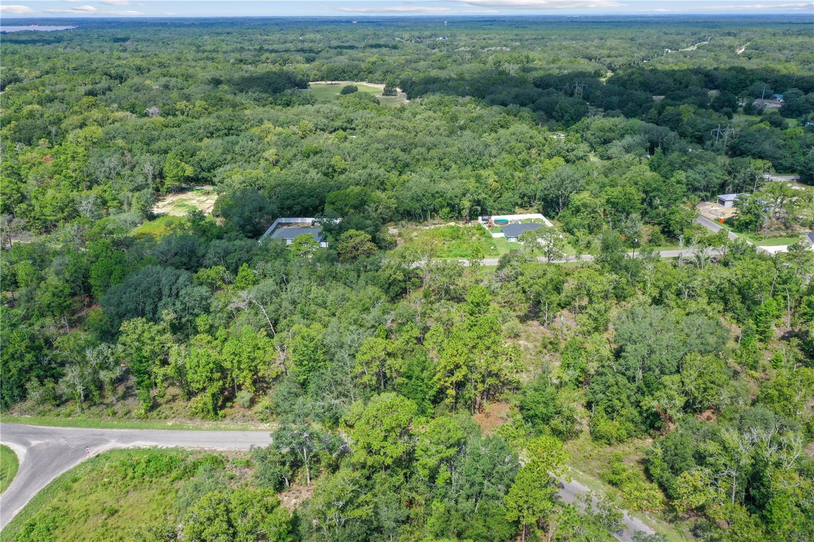 0024 Guava Pass Dr Property Photo 10